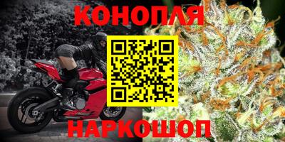 спайс Владимир