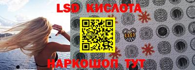 спайс Владимир