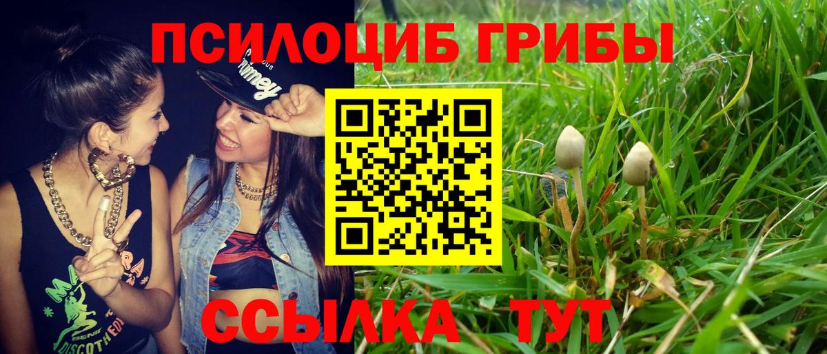 Казань  купить наркотики цена  Вход с VPN  Псилоцибиновые грибы Psilocybine cubensis 