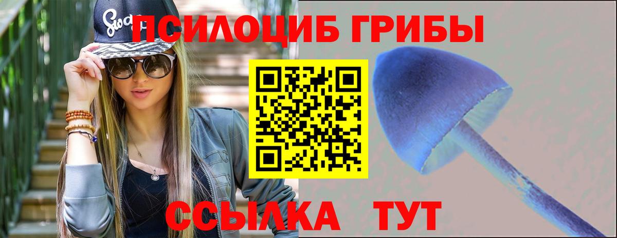 Галлюциногенные грибы GOLDEN TEACHER Казань